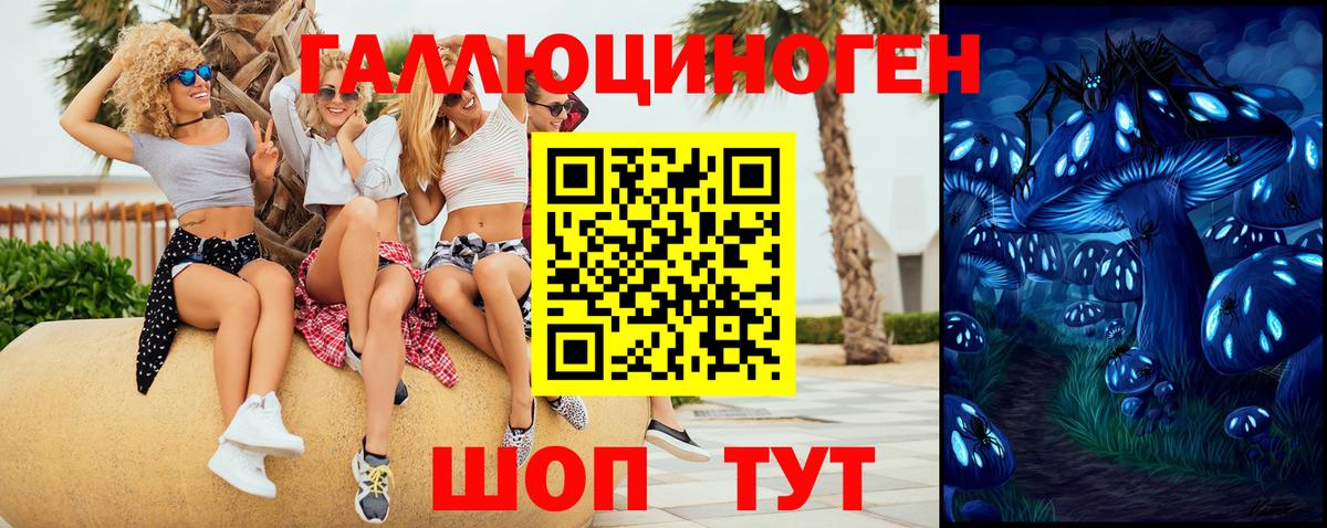 Галлюциногенные грибы GOLDEN TEACHER  Галлюциногенные грибы Psilocybine cubensis  Вход с VPN  Удомля 