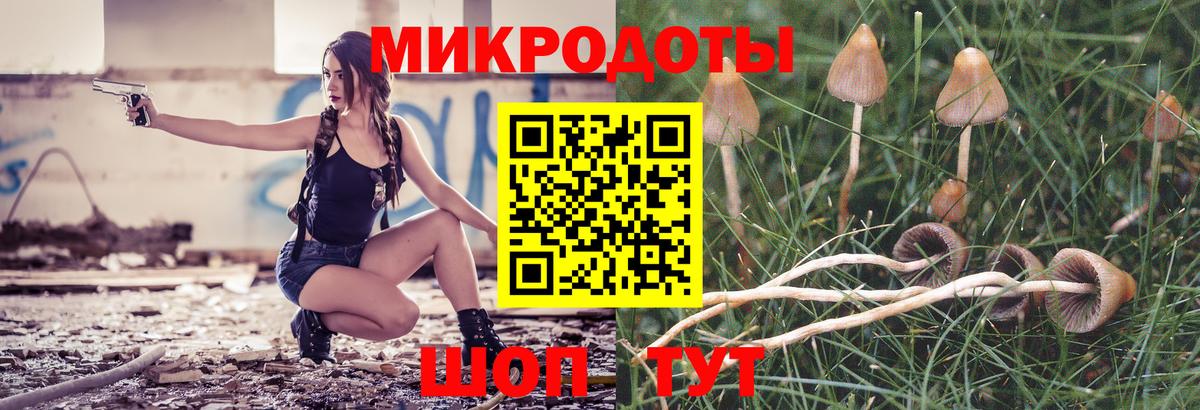 Псилоцибиновые грибы прущие грибы Удомля